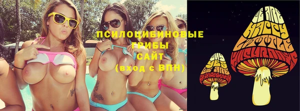 винт Алексеевка