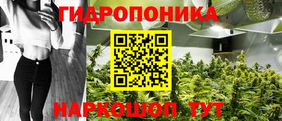 не бодяженный Канаш