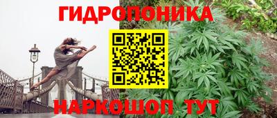не бодяженный Канаш
