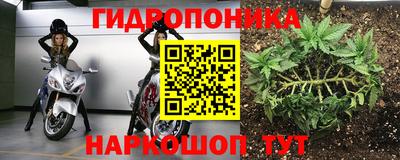 прущая мука Кандалакша