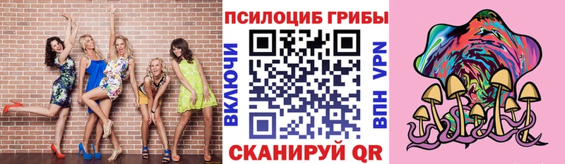 Галлюциногенные грибы Psilocybine cubensis  дарнет шоп  Кыштым 