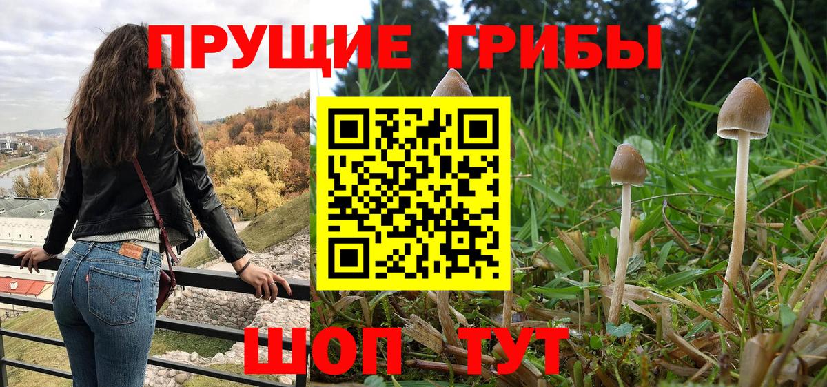 дарнет шоп  Псилоцибиновые грибы мицелий  Кыштым  Вход с VPN  Псилоцибиновые грибы Magic Shrooms 