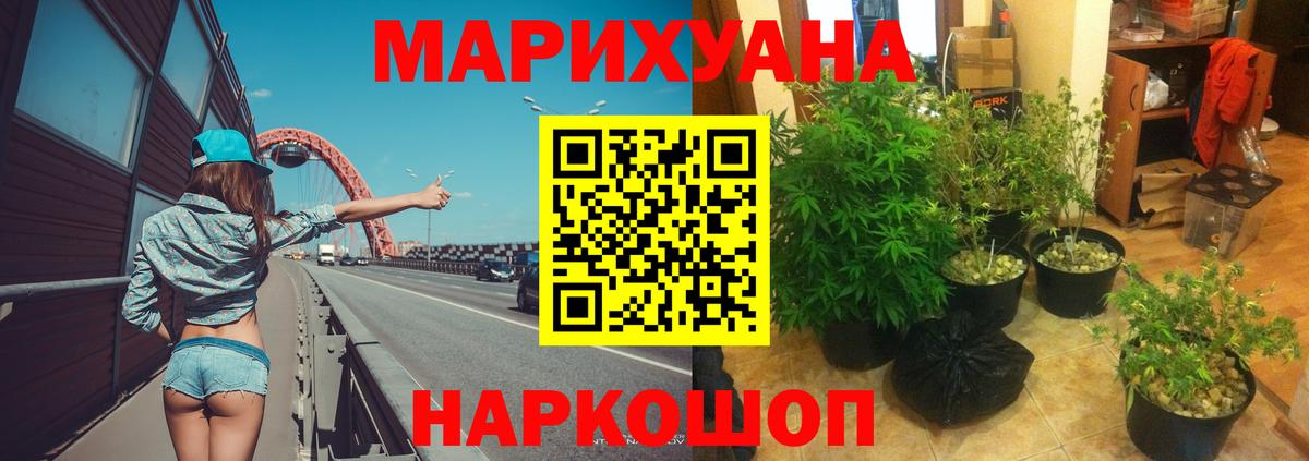 Бошки Шишки план Кыштым